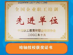 荣誉资质